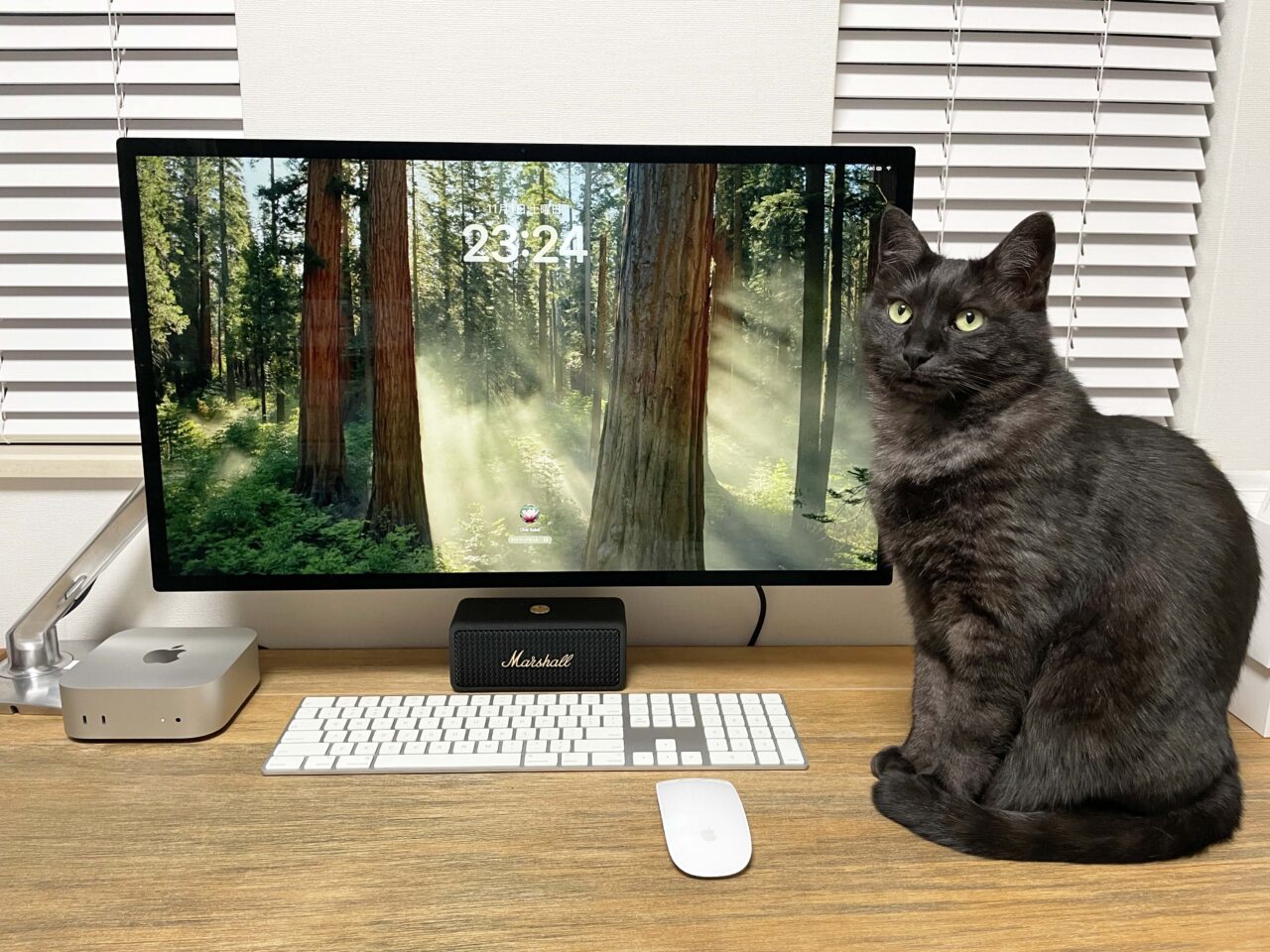 iMacからMac miniへ