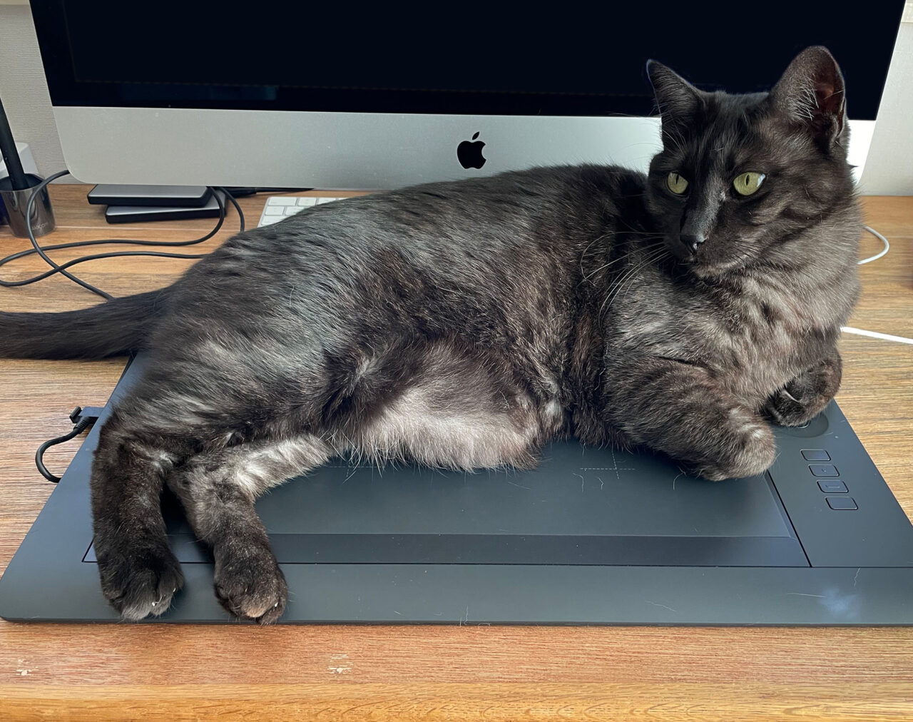 お休みのお知らせ